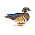 Regal Art & Gift Male Wood Duck 12596